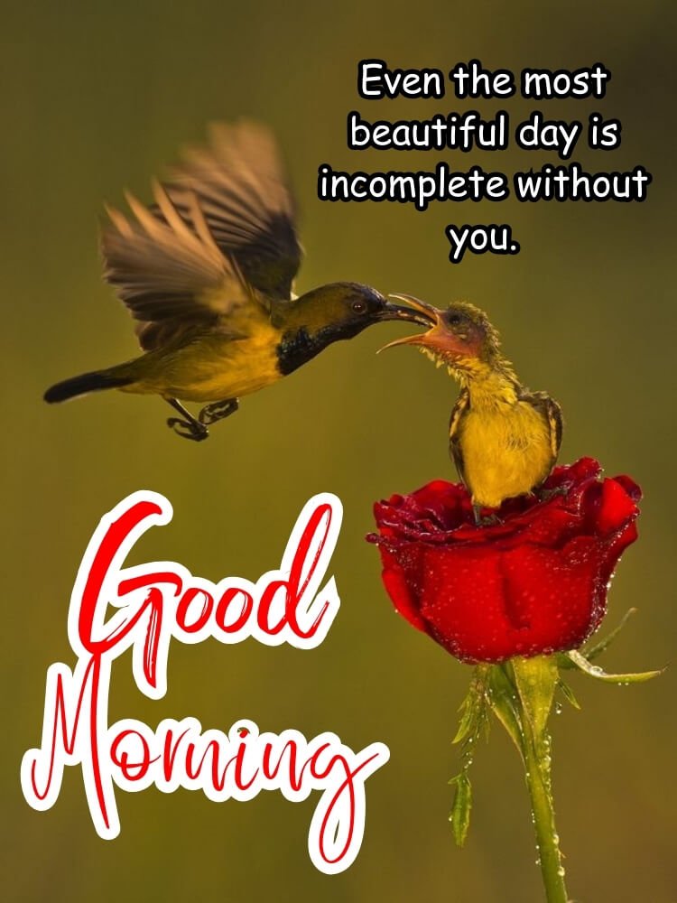 good morning images hindi 1