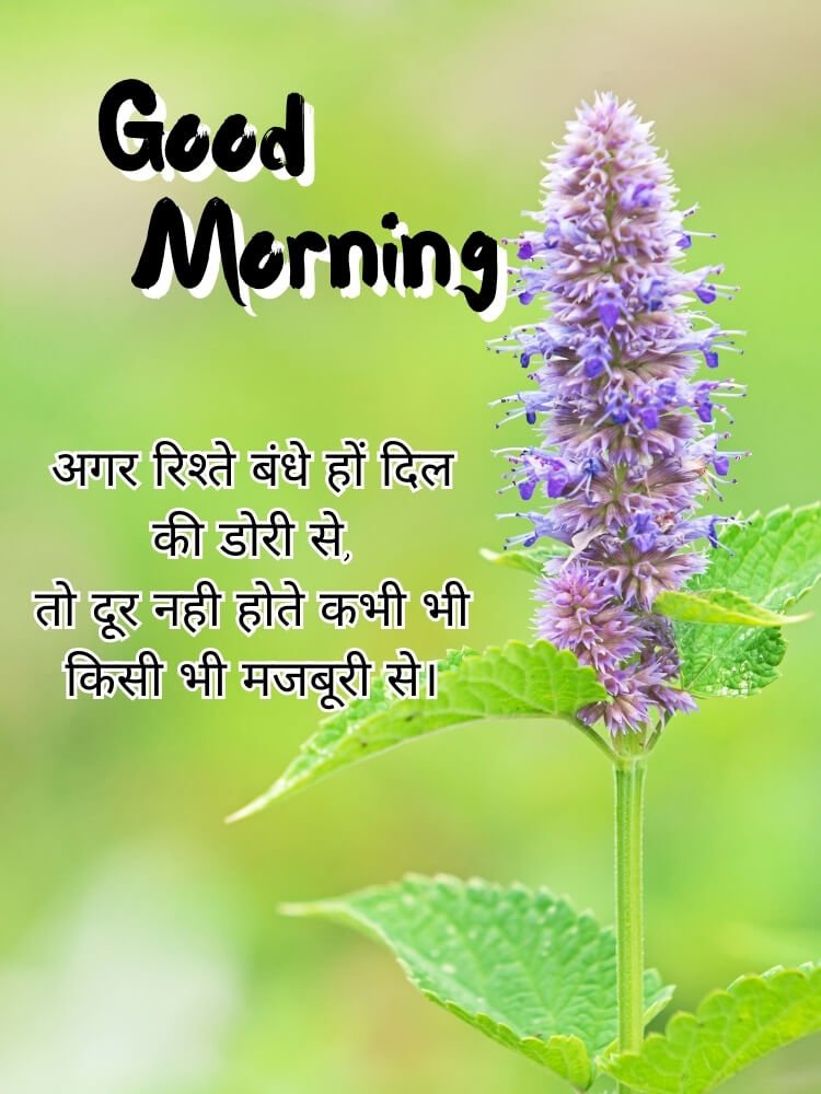 good morning wishes 7