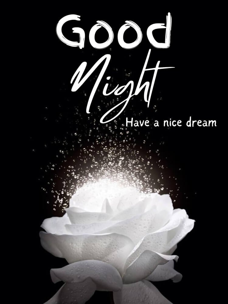 good night wishes 1
