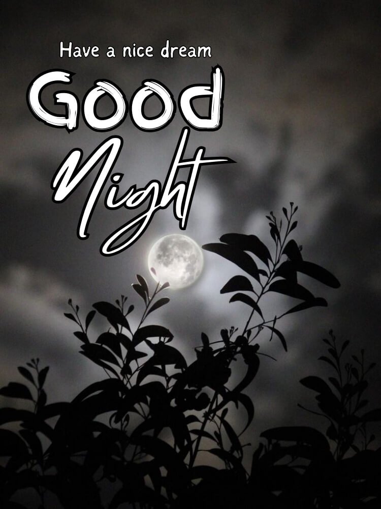good night wishes 2
