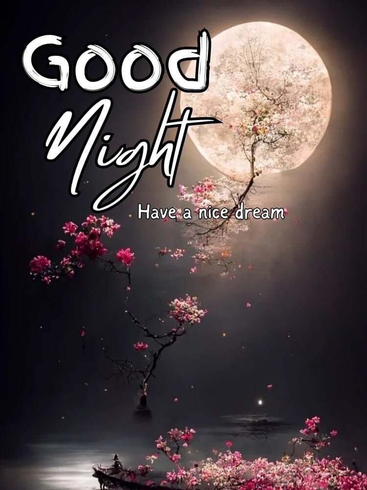 good night wishes 3
