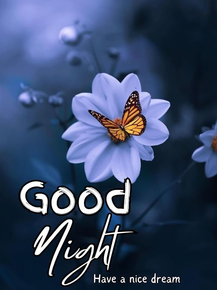 good night wishes 4
