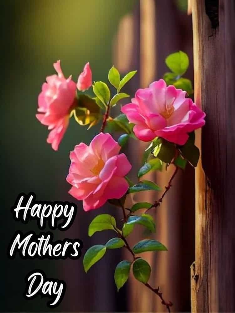 happy mothers day images 4