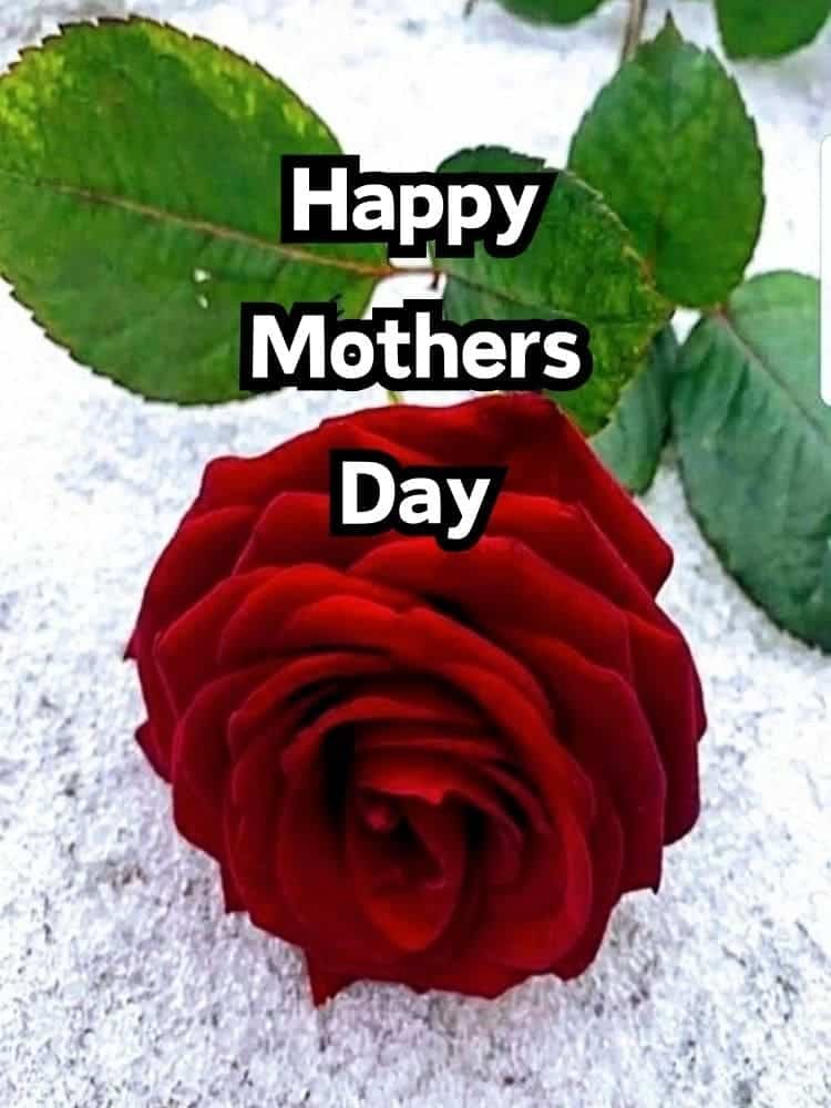 happy mothers day to all moms 8