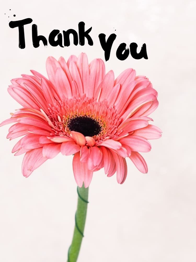 thank you images simple 25