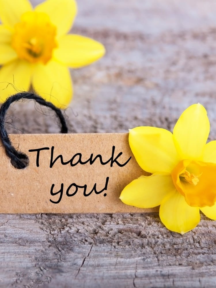 thank you images with flowers yellow