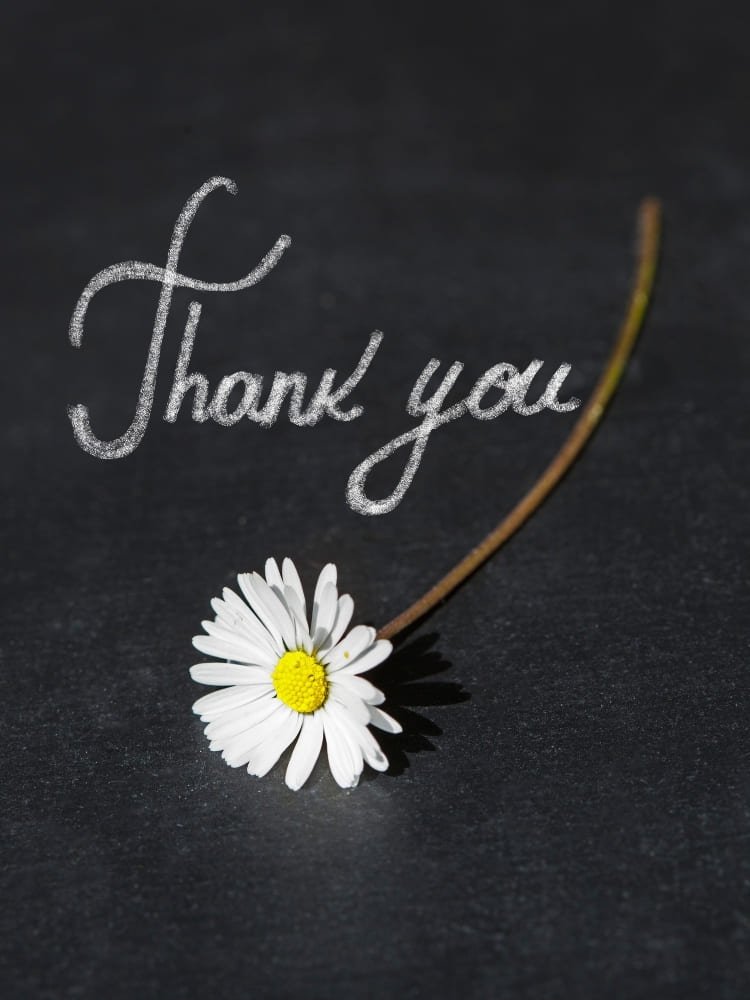 thank you images with white flowers