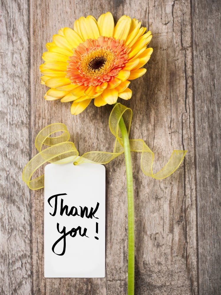 thank you images with yellow flowers