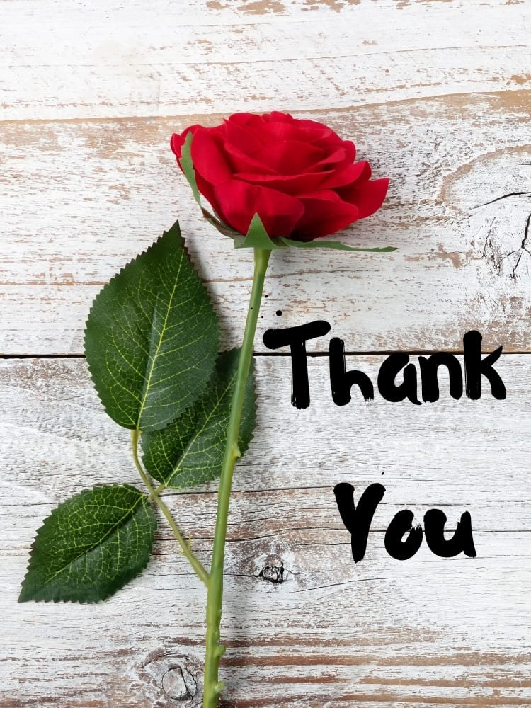thank you images with Rose