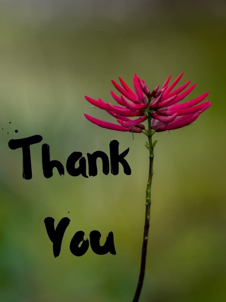 thank you images with flowers 26