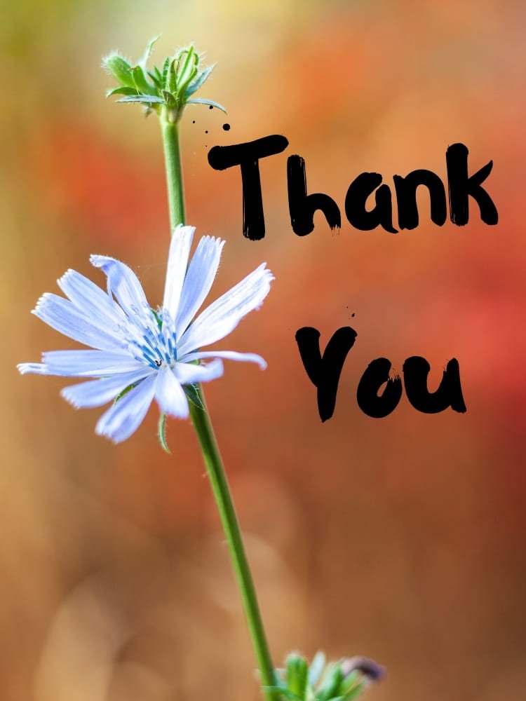 thank you images with flowers 27