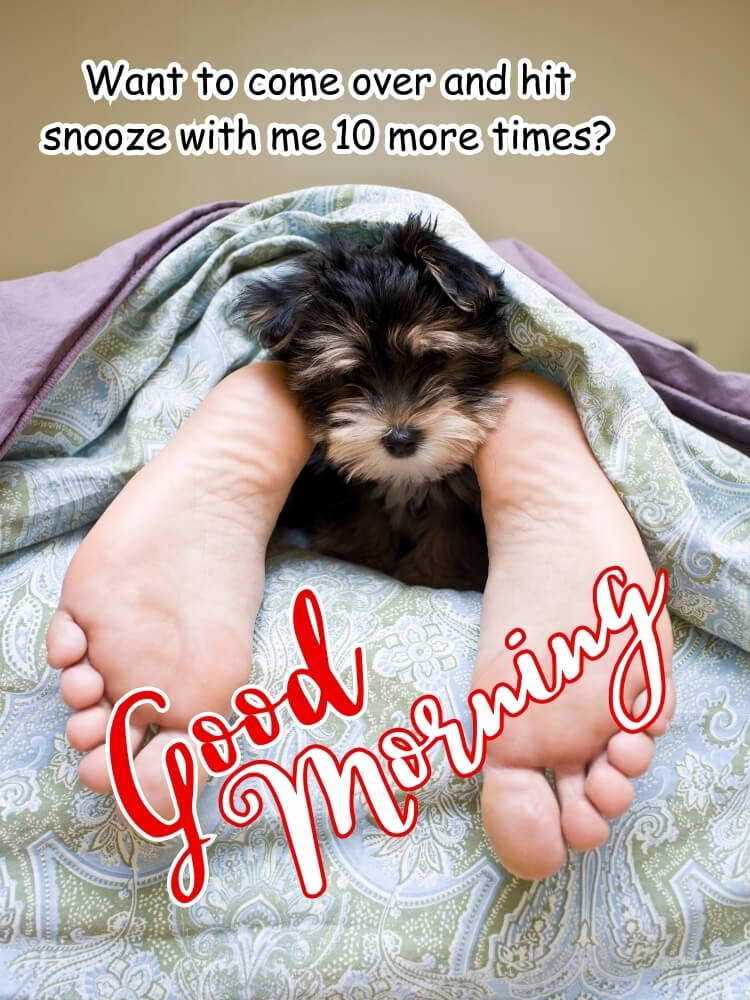 today special good morning images 1 1
