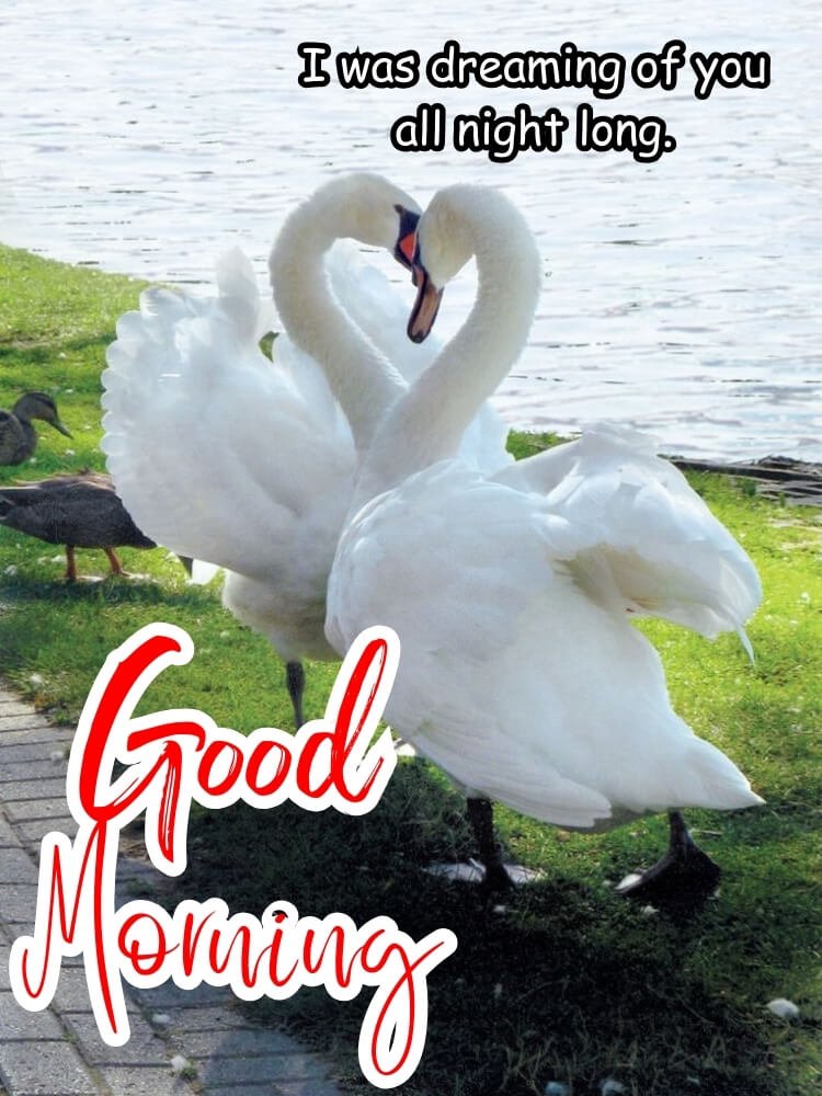 today special good morning images 4