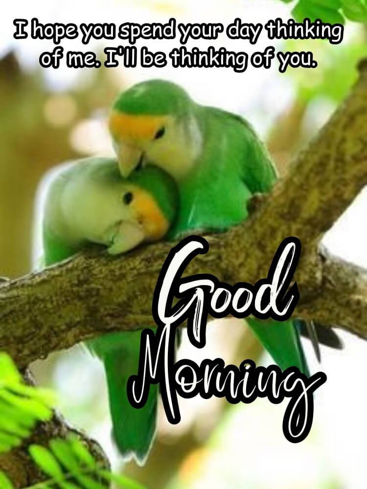 today special good morning images 5