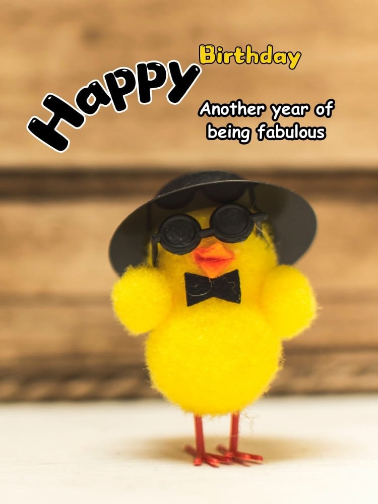 funny happy birthday images, chick