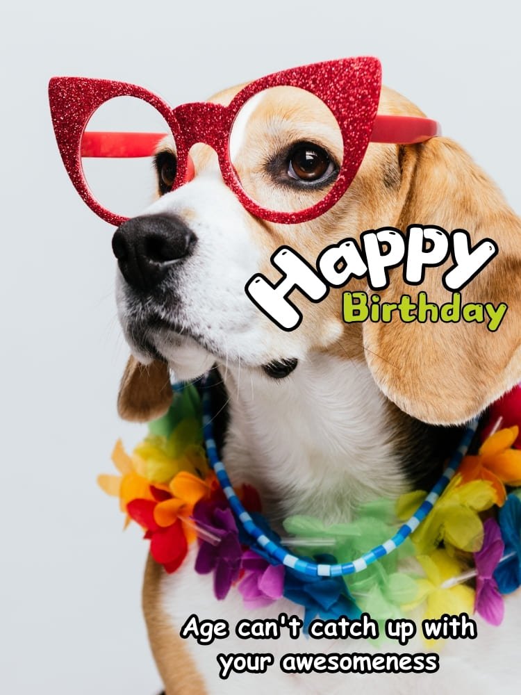 funny happy birthday images, dog