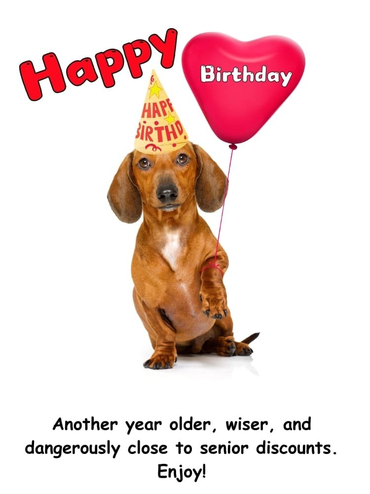 Funny Happy Birthday Images, dog