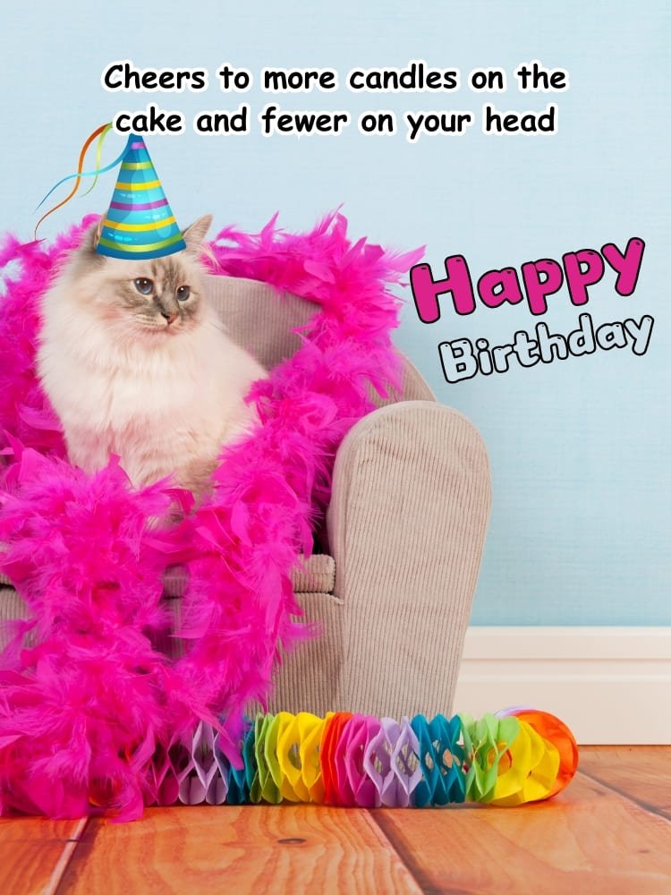 Funny Happy Birthday Images, cat